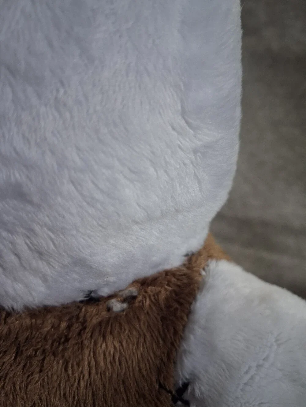 Ripndip teddy fresh